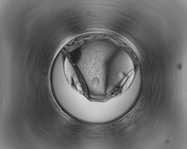 X0000098201283200805151220