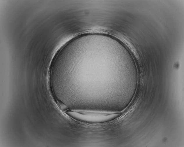X0000098201285200805151220