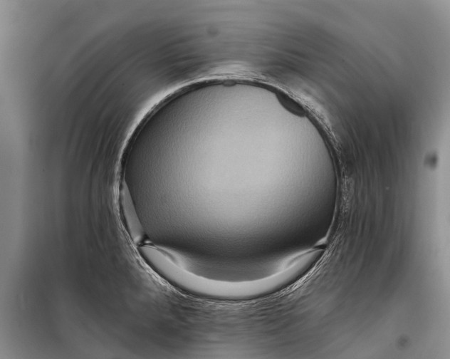 X0000098201288200805151220