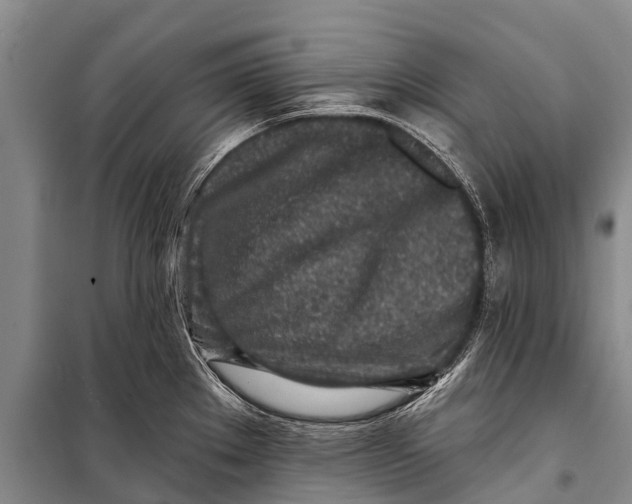 X0000098201289200805151220