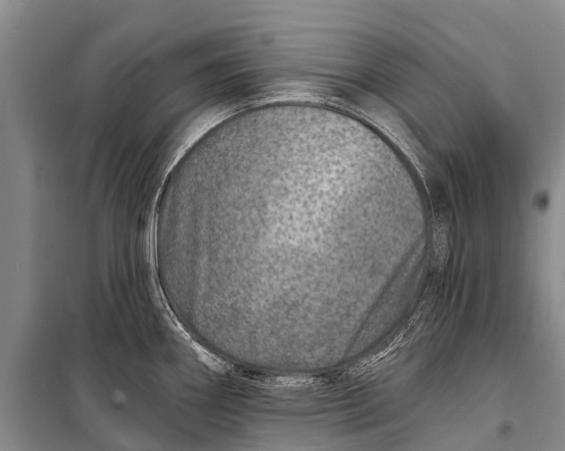 X0000098201290200805151220