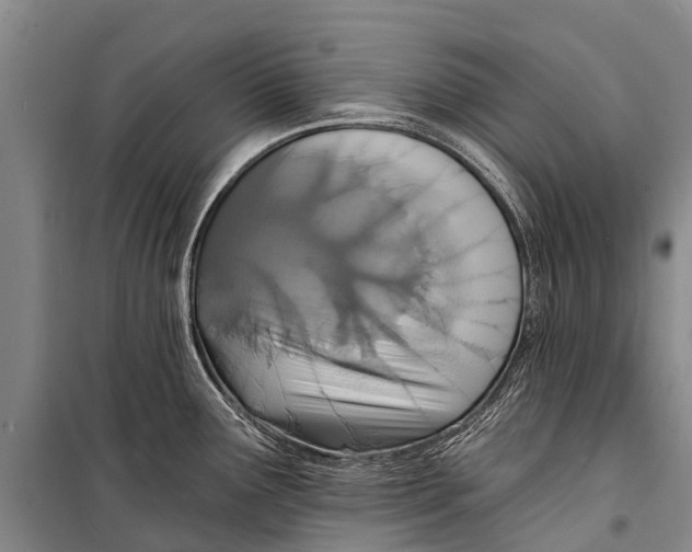 X0000098201291200805151220