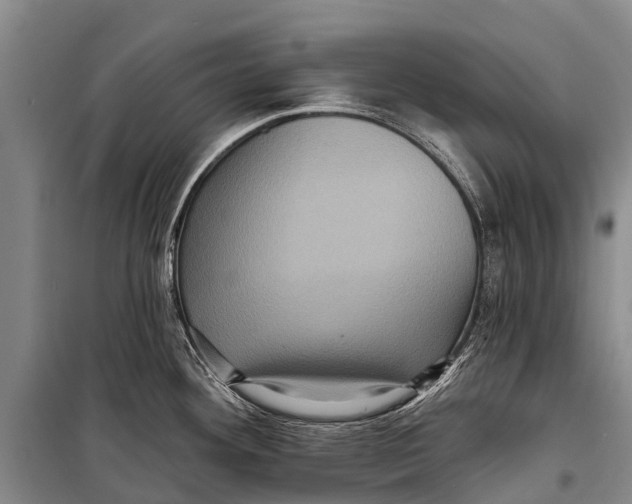 X0000098201292200805151220