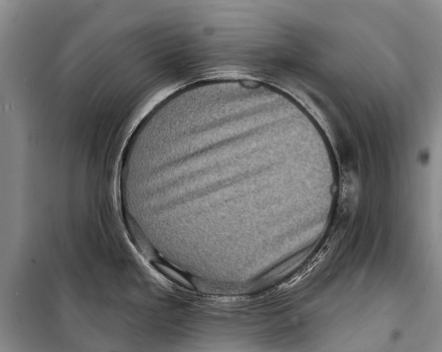 X0000098201293200805151220