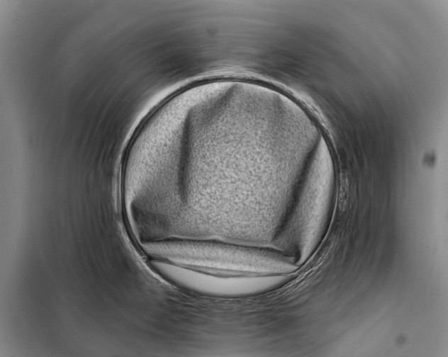 X0000098201295200805151220
