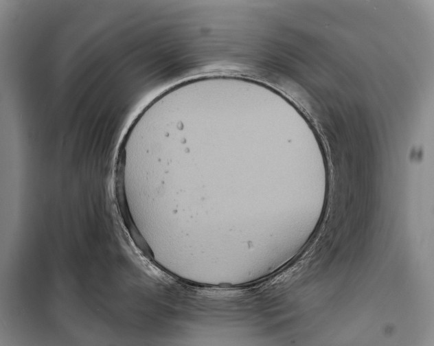 X0000098201296200805151220