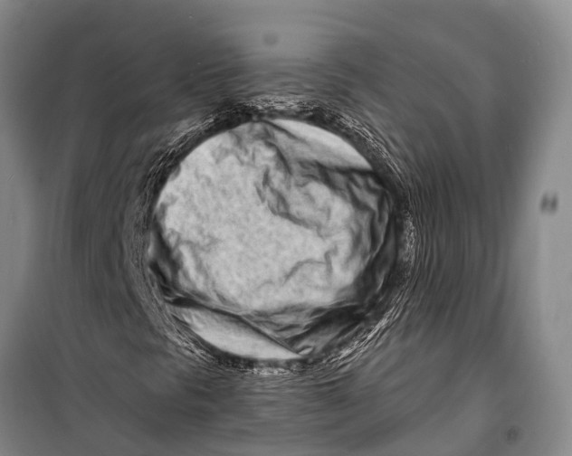 X0000098201297200805151219