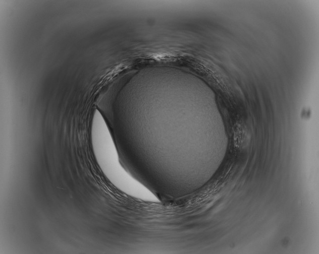 X0000098201298200805151219