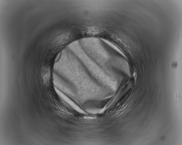 X0000098201299200805151219