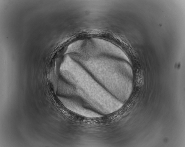 X0000098201301200805151219
