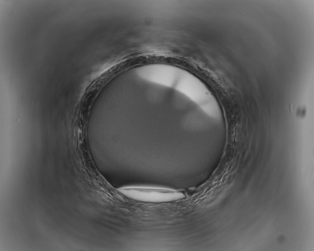 X0000098201303200805151219