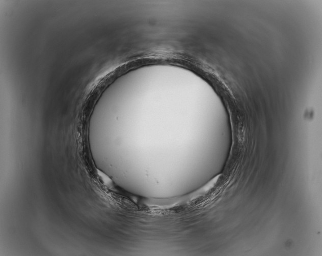 X0000098201304200805151219