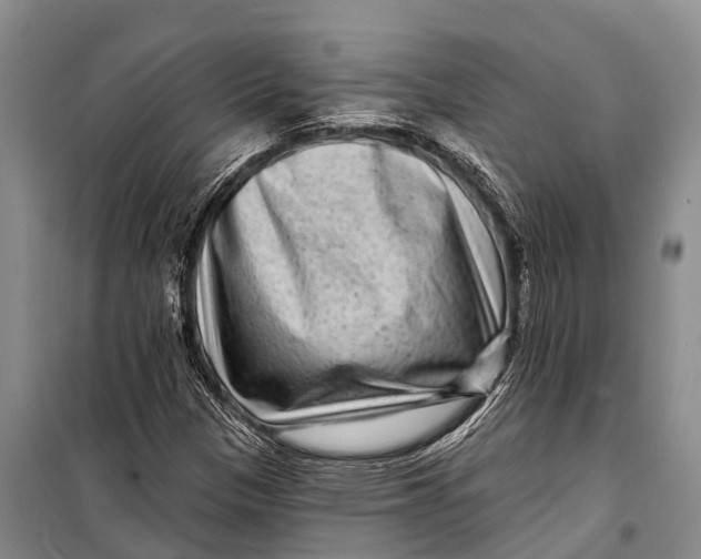 X0000098201305200805151219