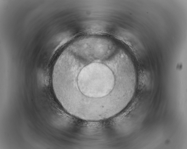 X0000098201306200805151219