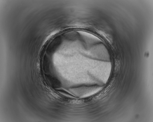 X0000098201307200805151219