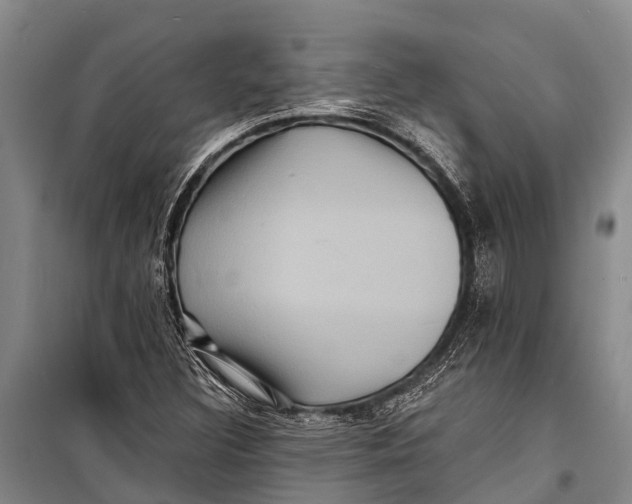 X0000098201308200805151219