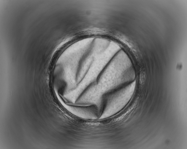 X0000098201309200805151219