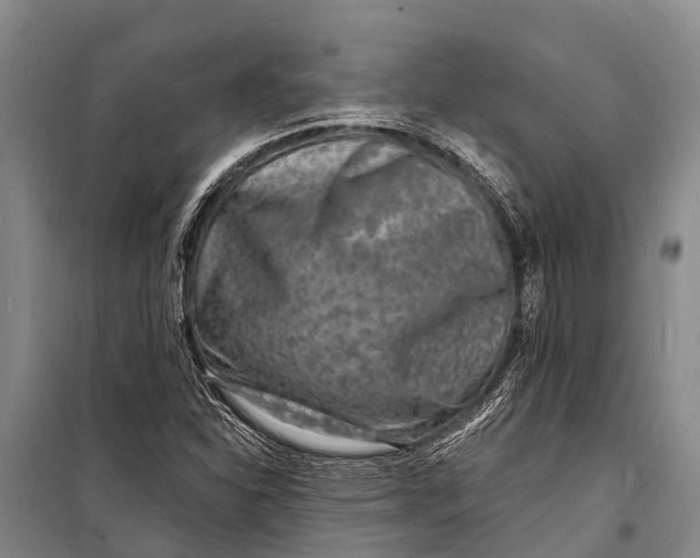 X0000098201310200805151219
