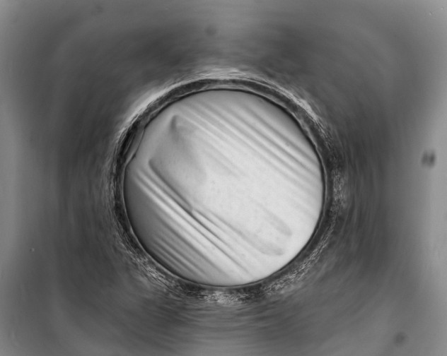 X0000098201311200805151219