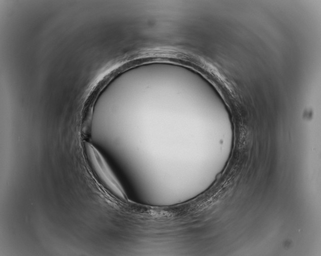 X0000098201312200805151219