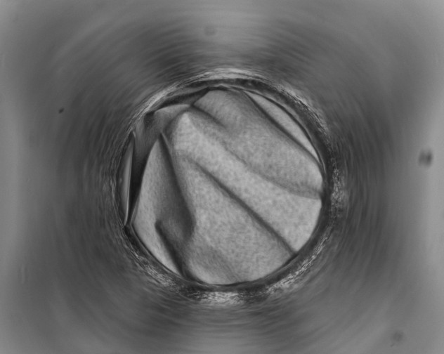 X0000098201313200805151219