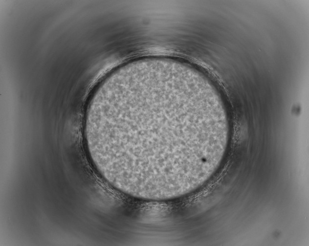 X0000098201314200805151219