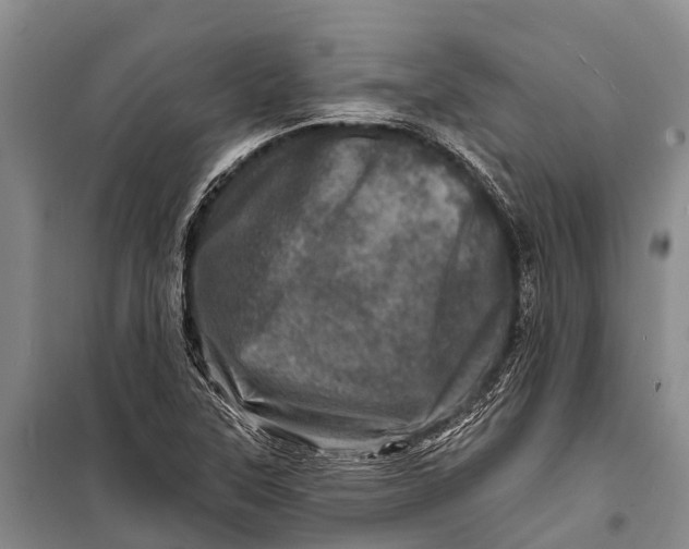 X0000098201315200805151219