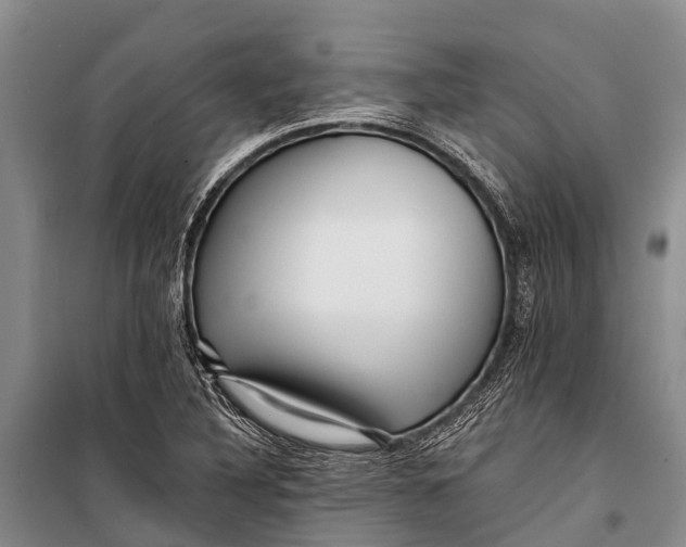 X0000098201316200805151219
