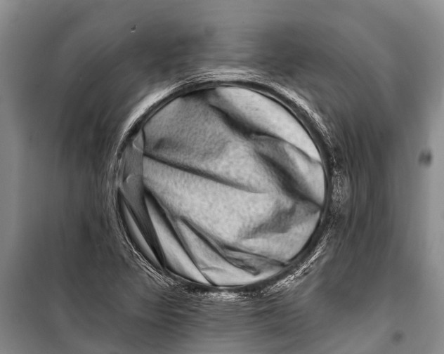 X0000098201317200805151219