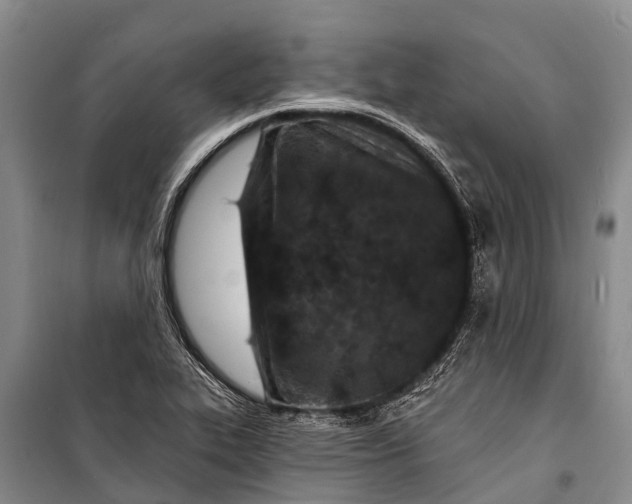 X0000098201319200805151219