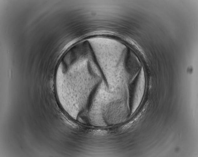 X0000098201321200805151219