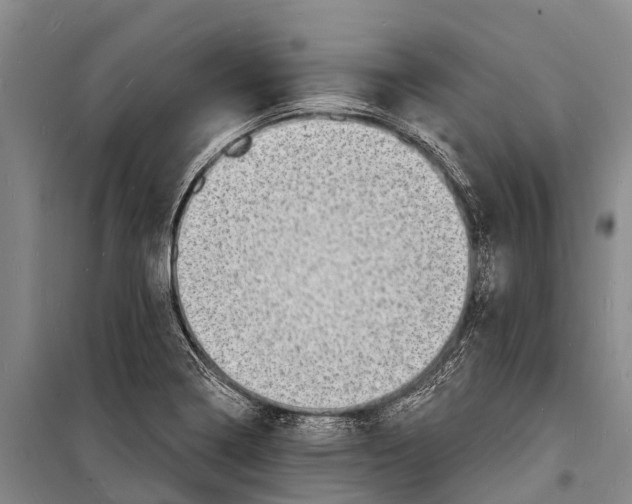 X0000098201322200805151219