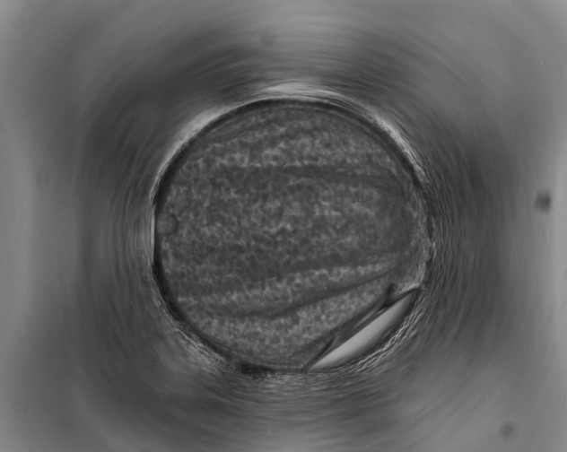X0000098201323200805151219
