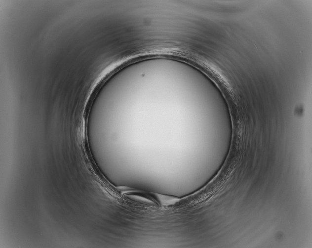 X0000098201324200805151219