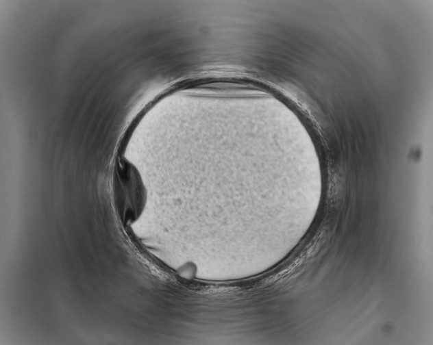 X0000098201325200805151219