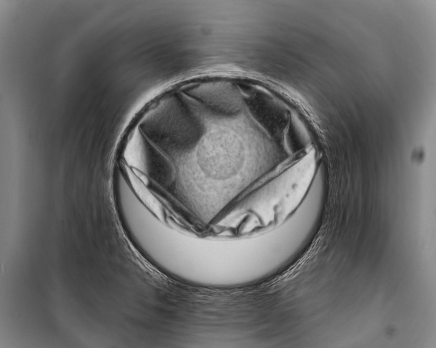 X0000098201326200805151219