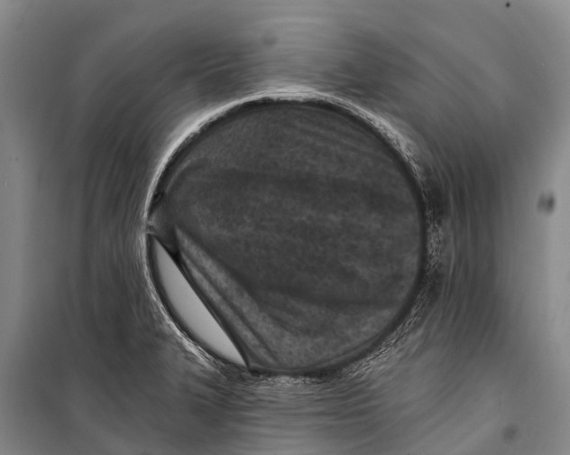 X0000098201327200805151219