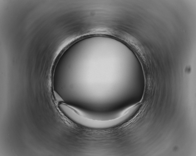 X0000098201328200805151219