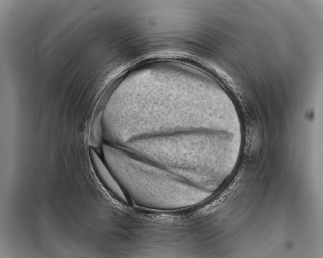 X0000098201329200805151219