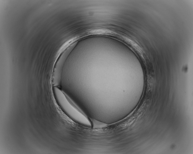 X0000098201330200805151219