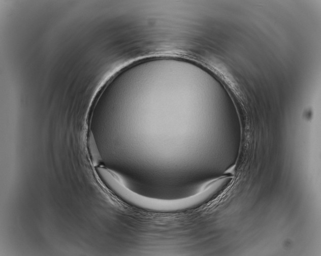 X0000098201332200805151219