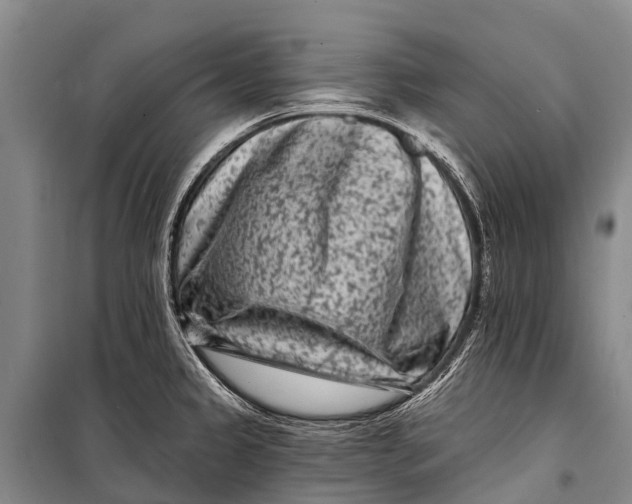 X0000098201333200805151219