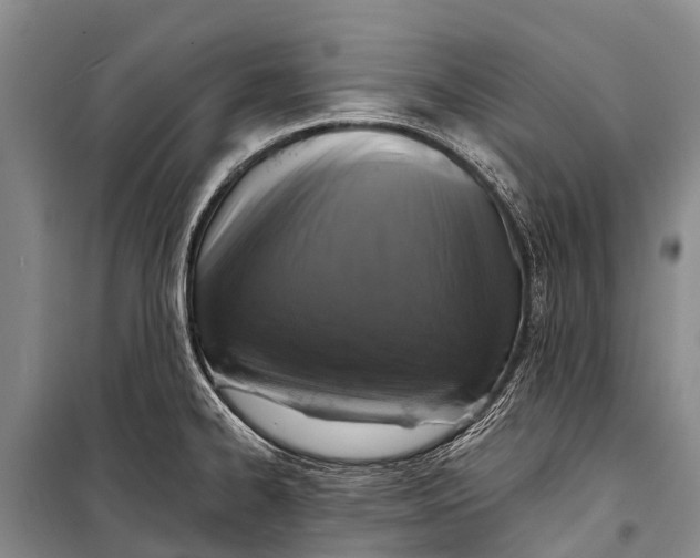 X0000098201334200805151219