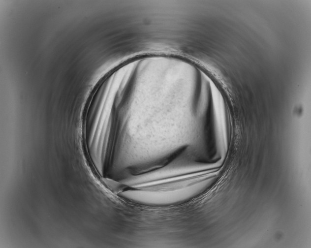 X0000098201335200805151219