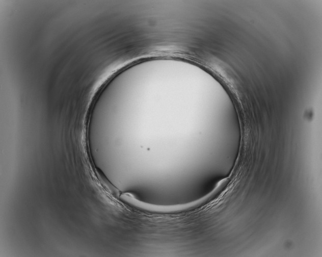 X0000098201336200805151219