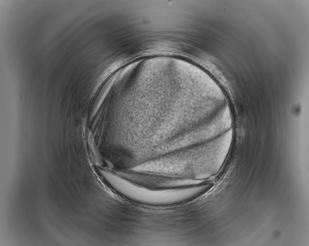 X0000098201337200805151219