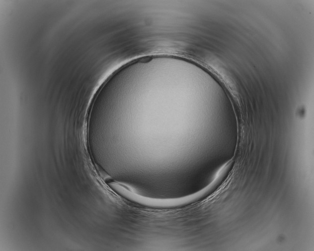 X0000098201340200805151219
