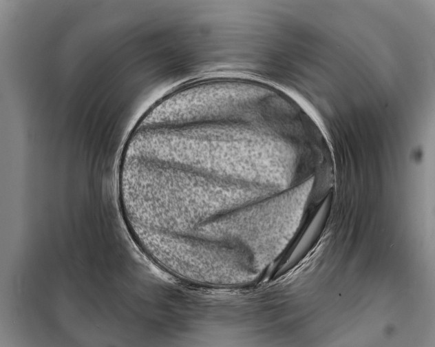 X0000098201341200805151220