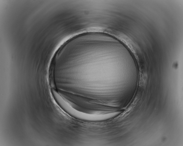 X0000098201342200805151220