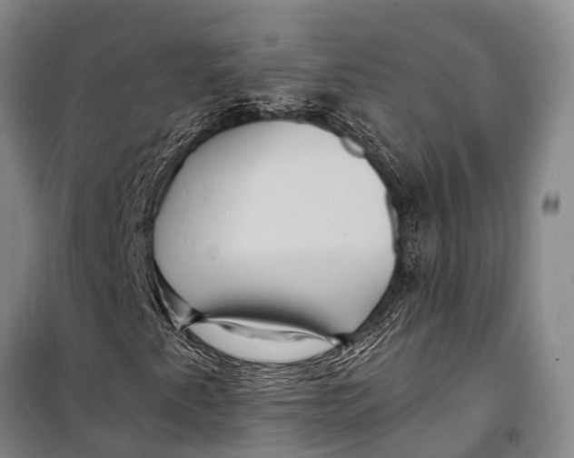 X0000098201345200805151219